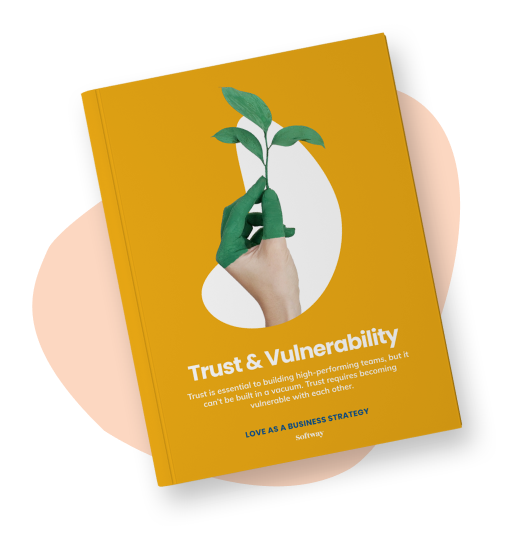 Trust and Vulnerability